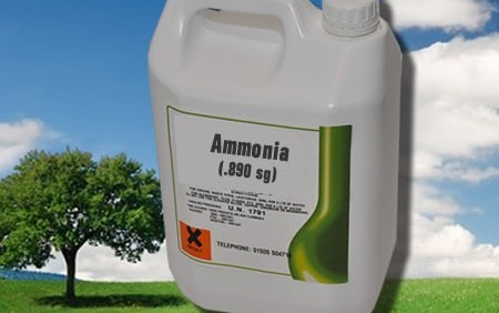 Ever Notice the Smell of Ammonia After Exercise?