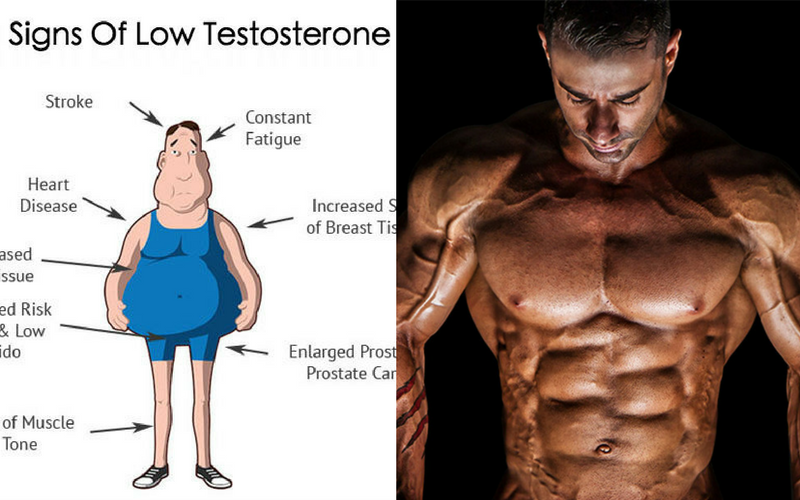 5 AtHome Testosterone Production Tests You Can Do