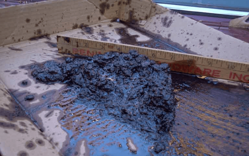 WTF is Protein Sludge?