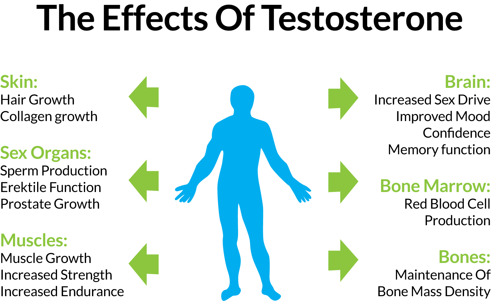 4 Effective Ways To Increase Testosterone