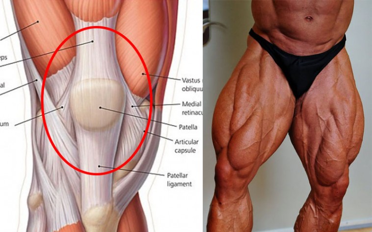 It's Not Too Late For Your Knees, and Here's Why
