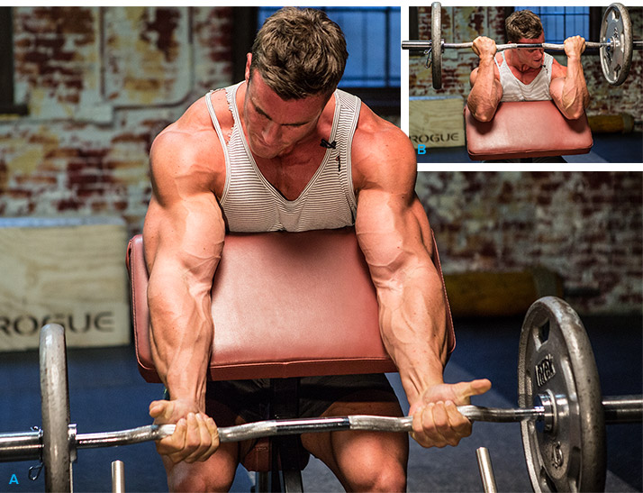 calum-von-mogers-13-best-biceps-training-tips-graphics-4