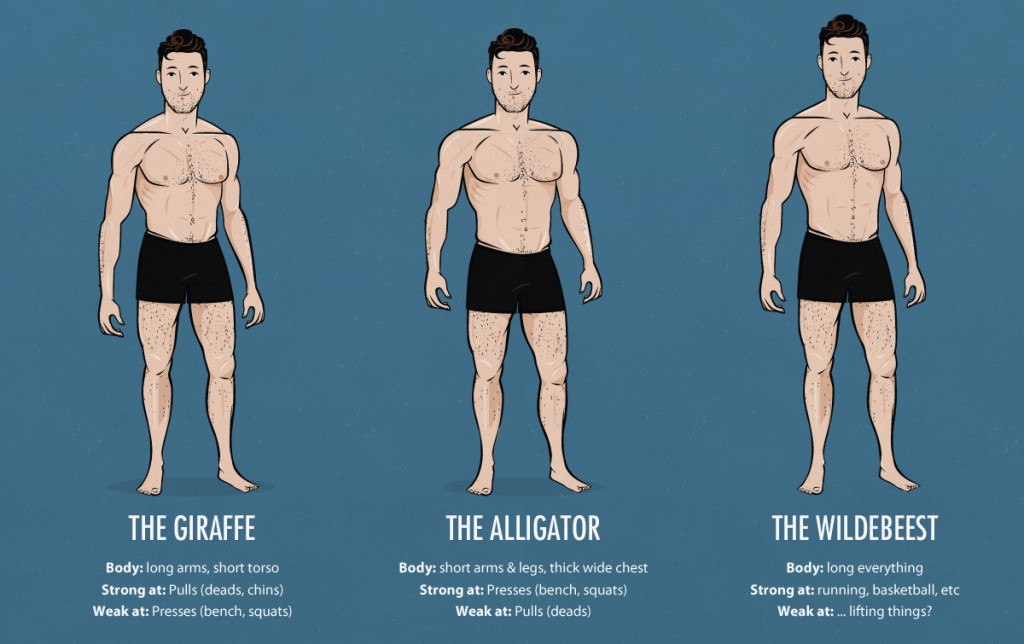 How To Improve Your Physique As An Ectomorph