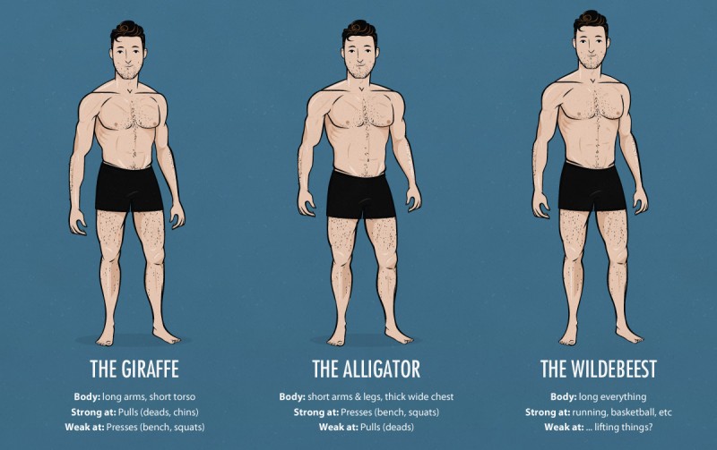 How to Improve Your Physique as an Ectomorph