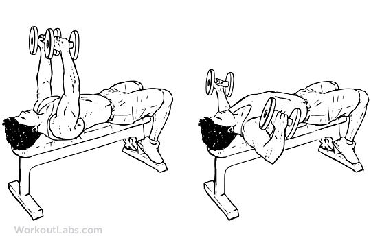 flat_bench_dumbbell_fly_m_workoutlabs