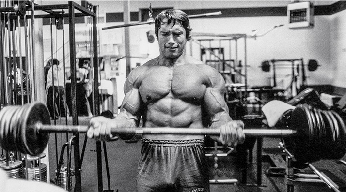 arnold-blueprint-mass-training-3-graphics