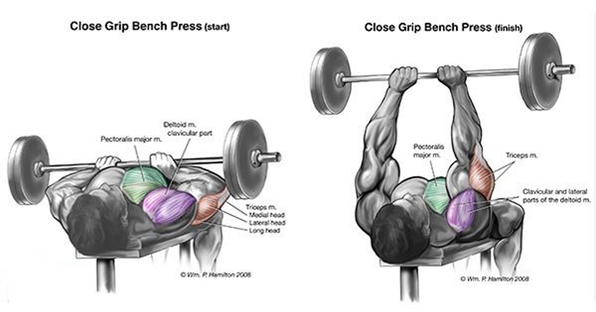 close-grip-bench-press-1