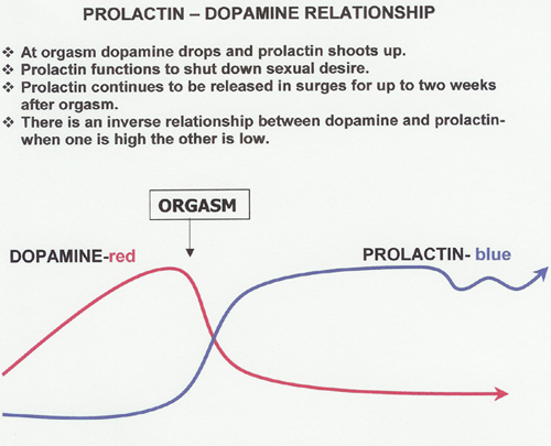 Prolactin Chart