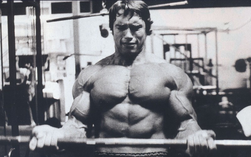 Arnold Curls