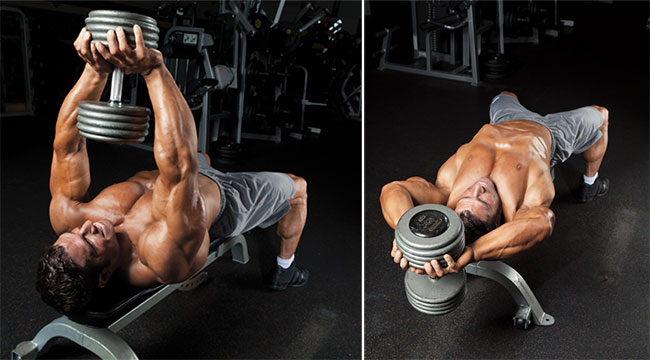 dumbbell pullover back alternative