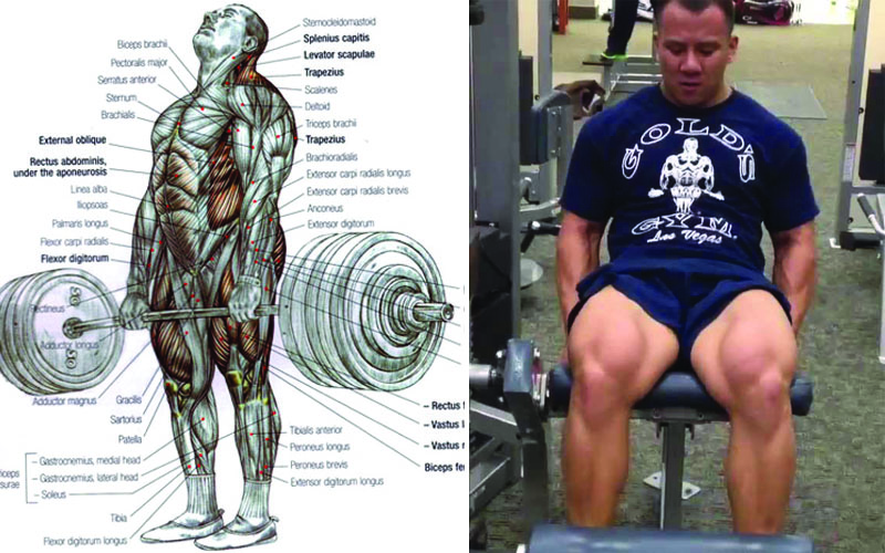 Free Weights Vs Machines Which Delivers The Best Results?