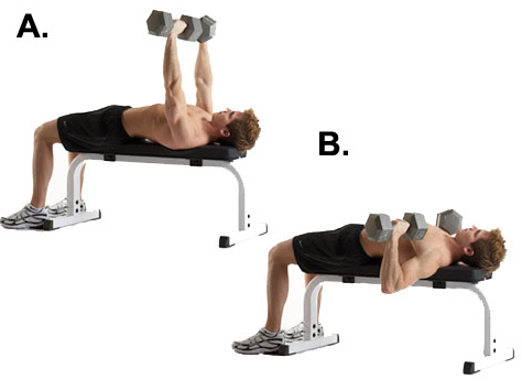 Dumbbell chest best sale press technique