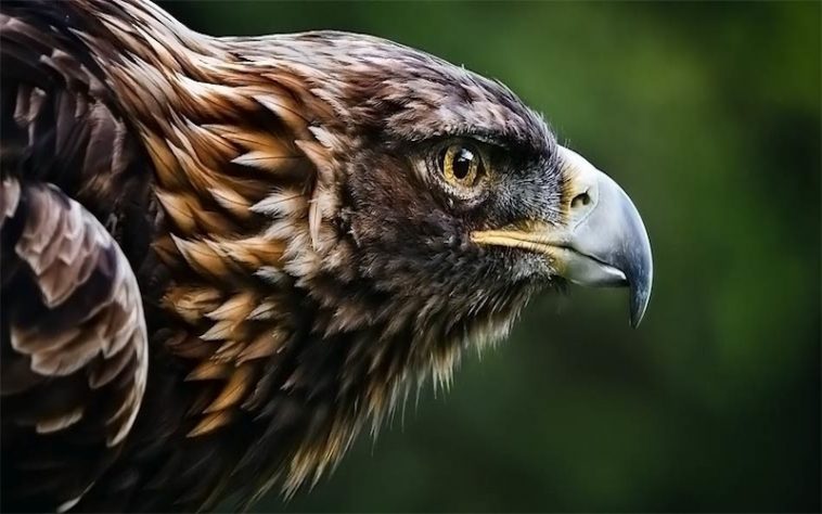 Using Fitness As Revenge To Everyone Who Ever Wronged You