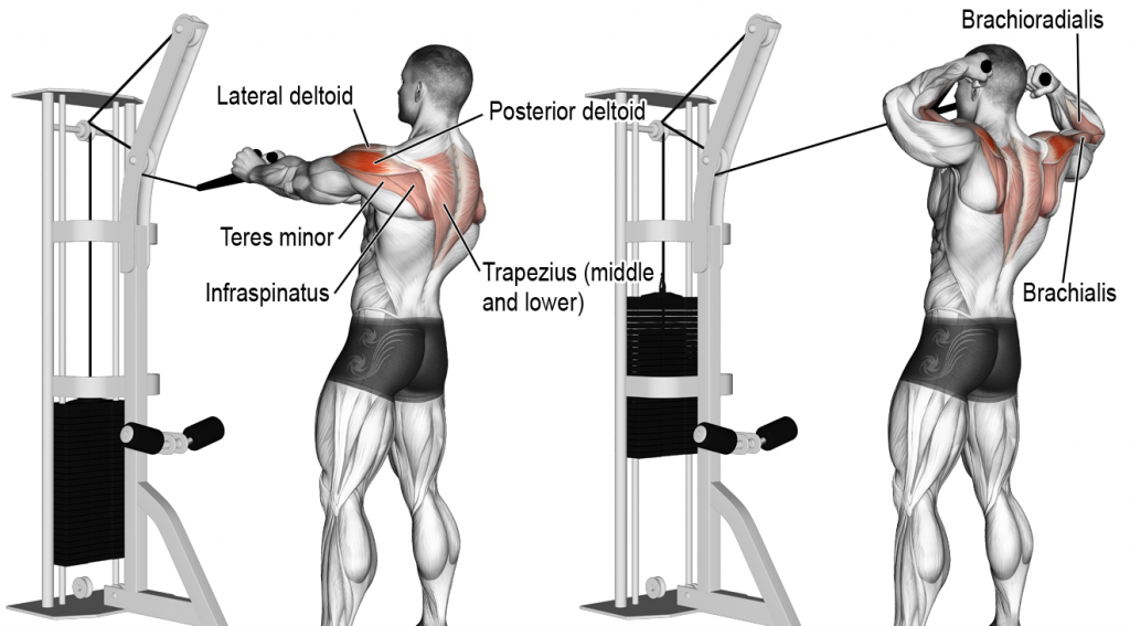 barbell face pulls