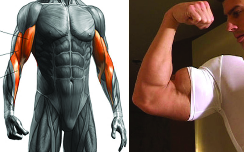 5 Curls to Build Bigger Biceps