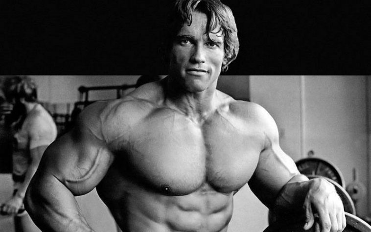 arnold dumbbell pullover