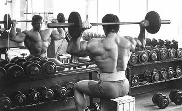 15 Minute Arnold Schwarzenegger Deltoid Workout for Gym