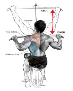 lat pulldown machine proper technique lats pull using correctly ignore don eccentric spotmebro