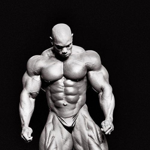 Flex wheeler chest discount workout