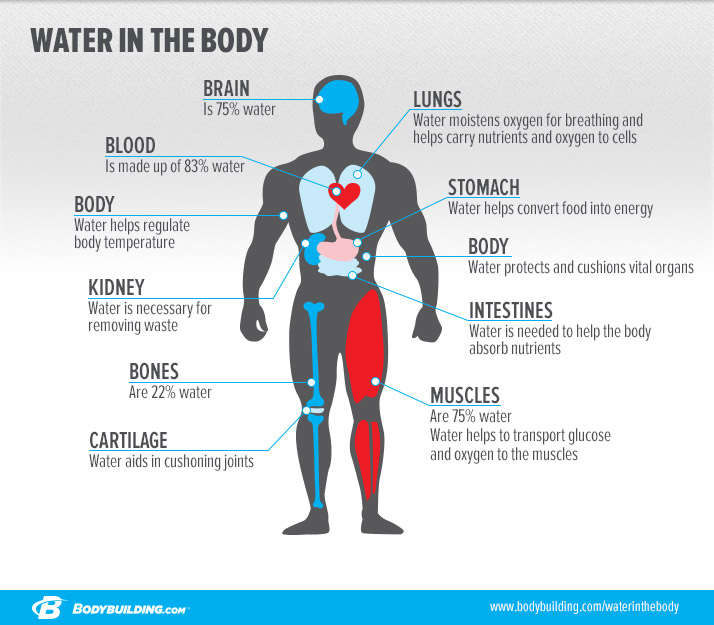 why-you-should-drink-more-water-and-stay-hydrated