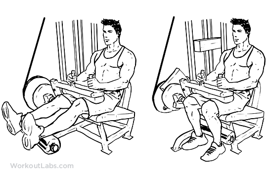 bodybuilding leg exercises