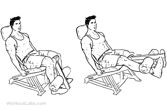 bodybuilding leg exercises