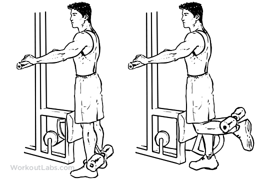 bodybuilding leg exercises