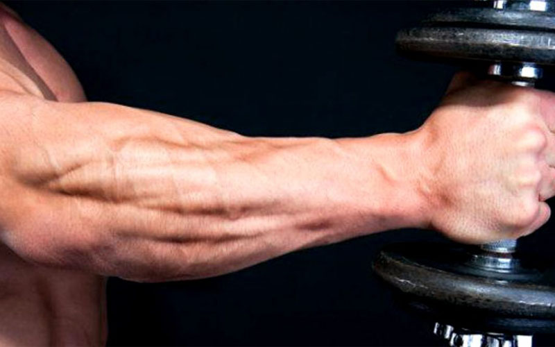4 Techniques for Huge Forearms