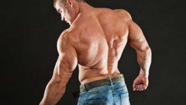 bodybuilding upper body workout