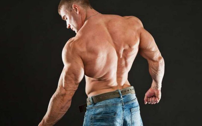 10 Best Back Exercises For Bodybuilding Workouts •