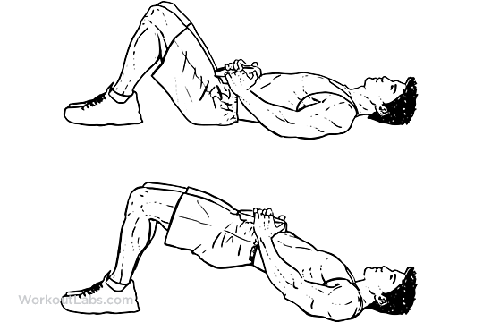 bodybuilding leg exercises