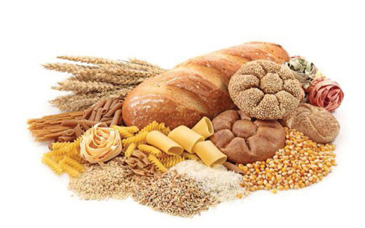 carbs for the best bodybuilding diet to lose weight