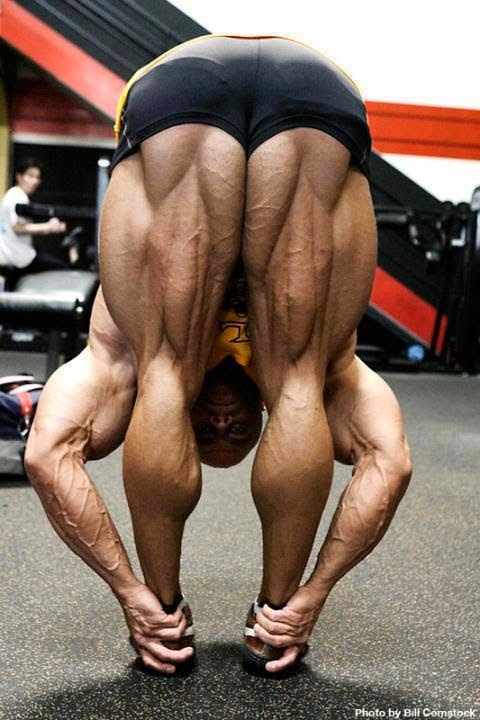 bodybuilder bending over forward stretching his hamstrings