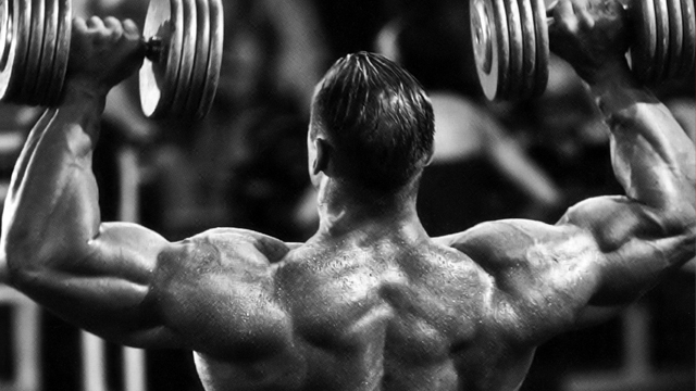 how to build muscle mass