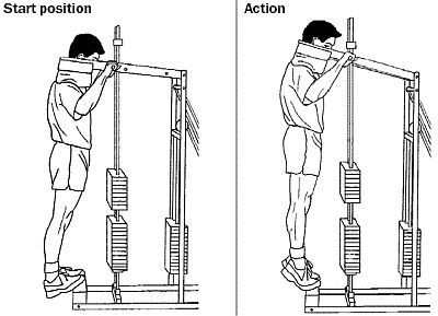 bodybuilding leg exercises