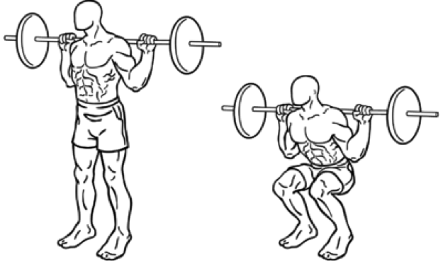 bodybuilding leg exercises