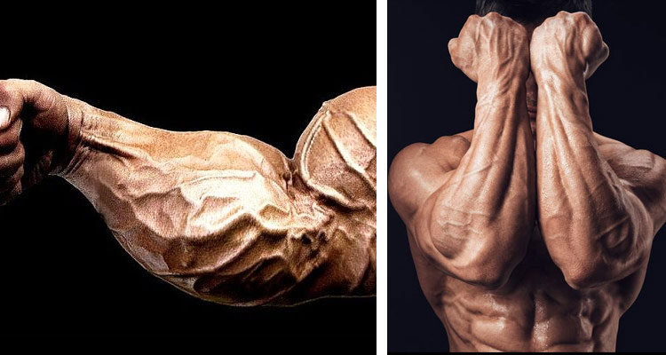 How To Maximize Forearm Strength? – VIIIG