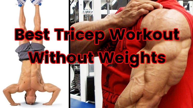 Best tricep best sale exercises without equipment