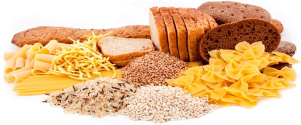 a picture containing various sources of carbs