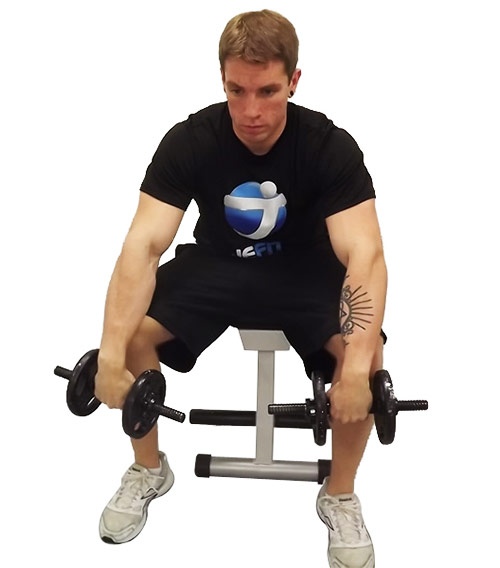 Workout With Dumbbels To Increase Forearm Strength - SpotMeBro