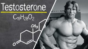 Best Places to Get a Testosterone Test Near Me: How to Choose a Trusted...