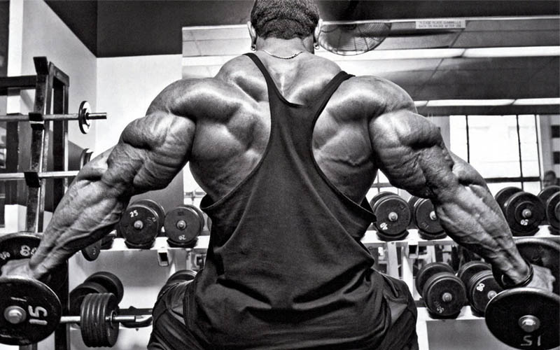 roelly winklaar doing side lateral raises in his 5-day split routine