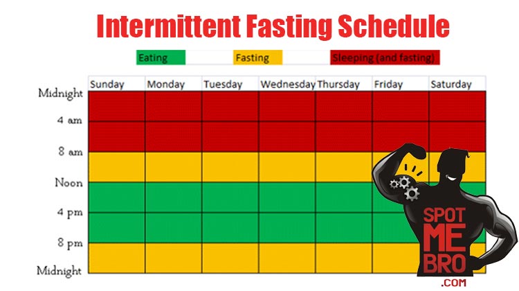 Intermittent-fasting-schedule-for-bodybuilders