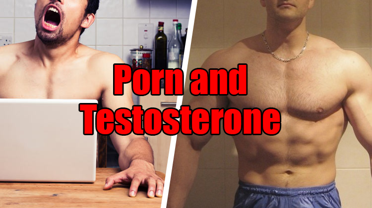 What Does Porn Do To Testosterone Levels Spotmebro Com