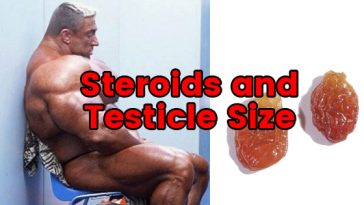 Steroids-and-testicle-size