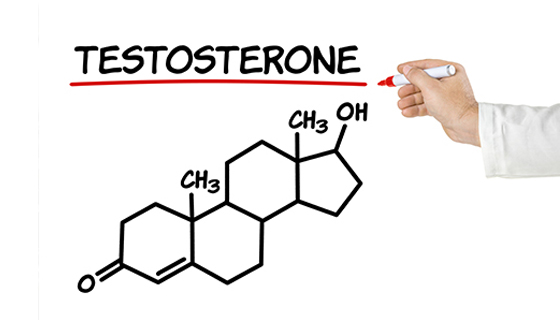 What-is-testosterone