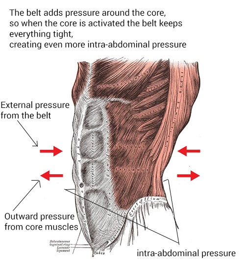 Do Lifting Belts Work?