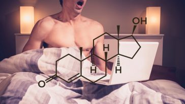 What Does Porn Do To Testosterone Levels? • SpotMeBro.com