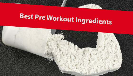 best pre workout ingredients powder form