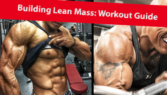 Lean muscle mass workout